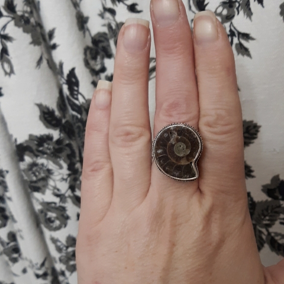 New Ammonite Fossil 925 Silver Ring. - Picture 4 of 8